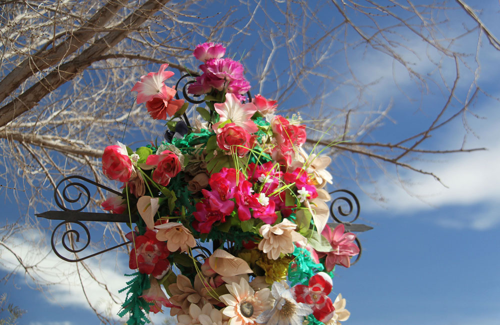 Humahuaca - As flores não morrem - Pedro Sales