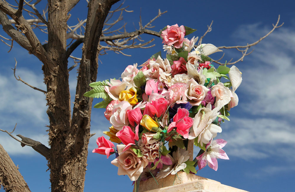 Humahuaca - As flores não morrem - Pedro Sales