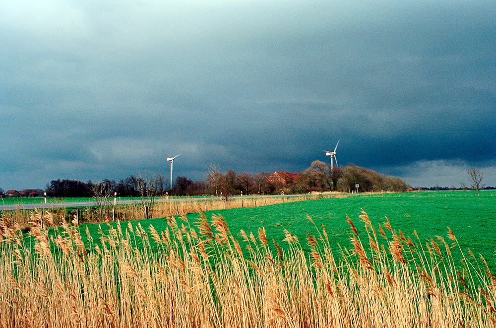 Série Ostfriesland - Fotografia Pedro Sales 1993